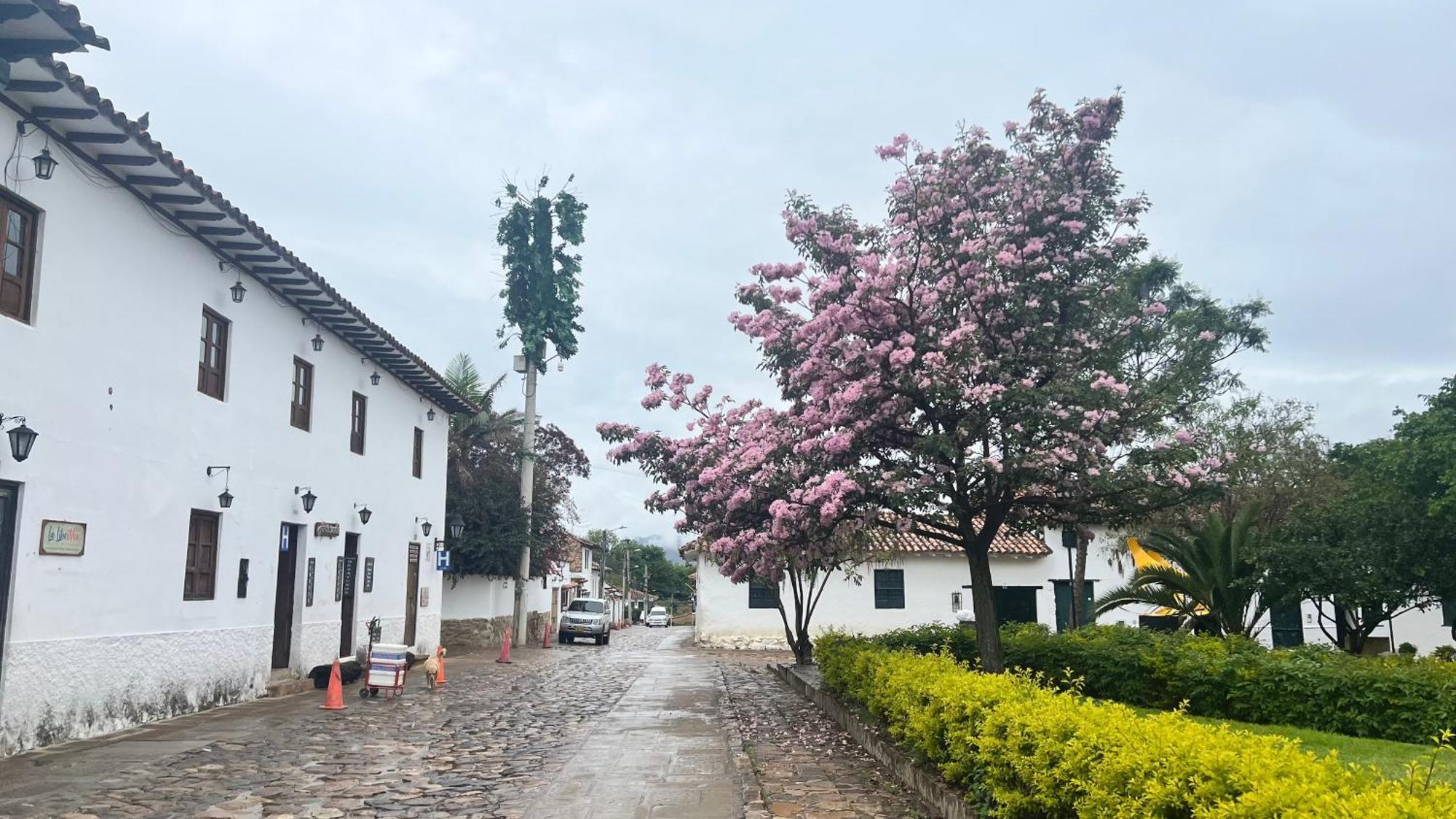 H&H Guest House Villa de Leyva Exterior foto